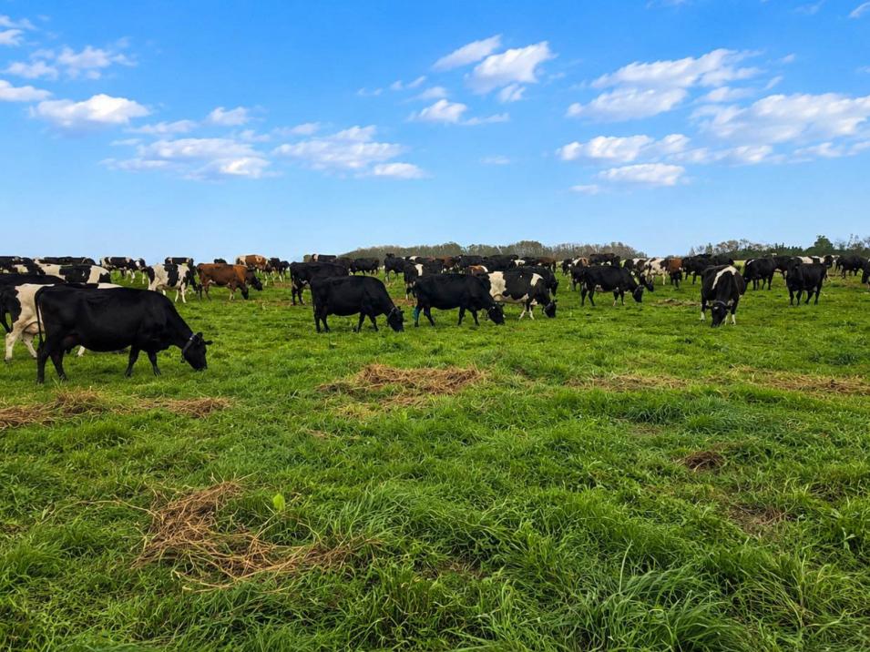 1801 Tuatapere Orepuki Highway, Tuatapere
