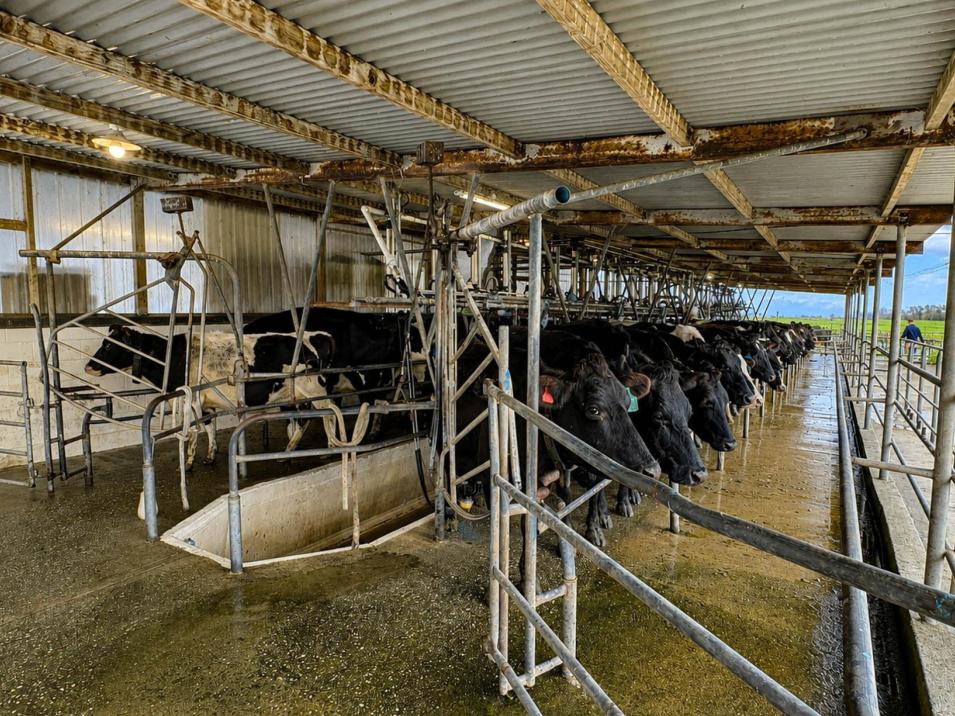 1801 Tuatapere Orepuki Highway, Tuatapere