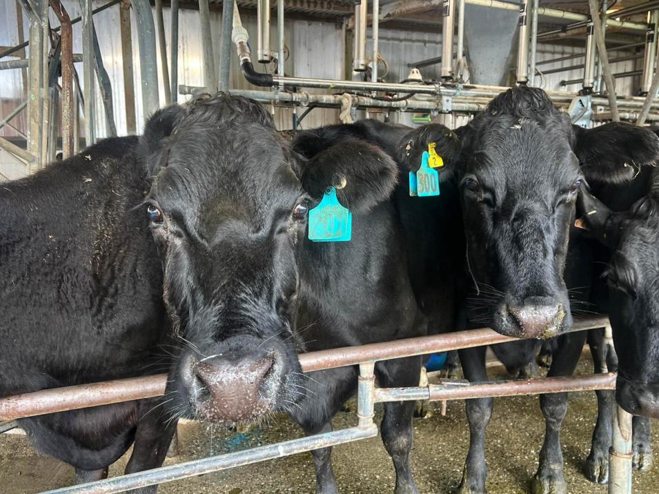 1801 Tuatapere Orepuki Highway, Tuatapere