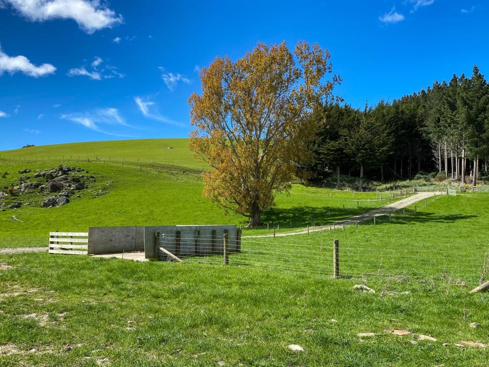 1433 Lumsden Dipton Highway , Dipton