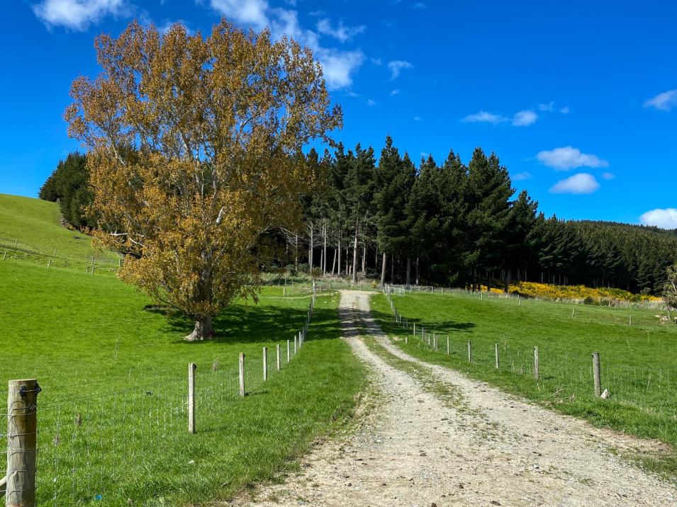 1433 Lumsden Dipton Highway , Dipton