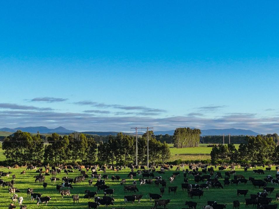846 Pioneer Highway + 116 and 172 Ota Creek Road, Edendale