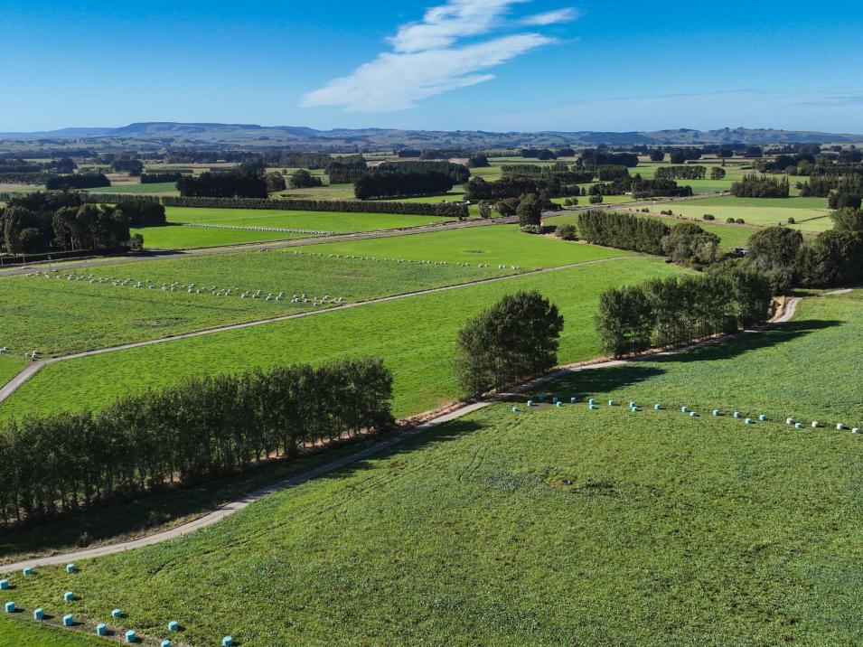 846 Pioneer Highway + 116 and 172 Ota Creek Road, Edendale