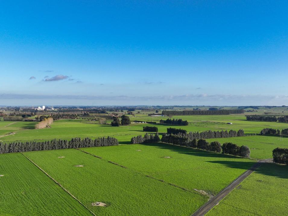 846 Pioneer Highway + 116 and 172 Ota Creek Road, Edendale