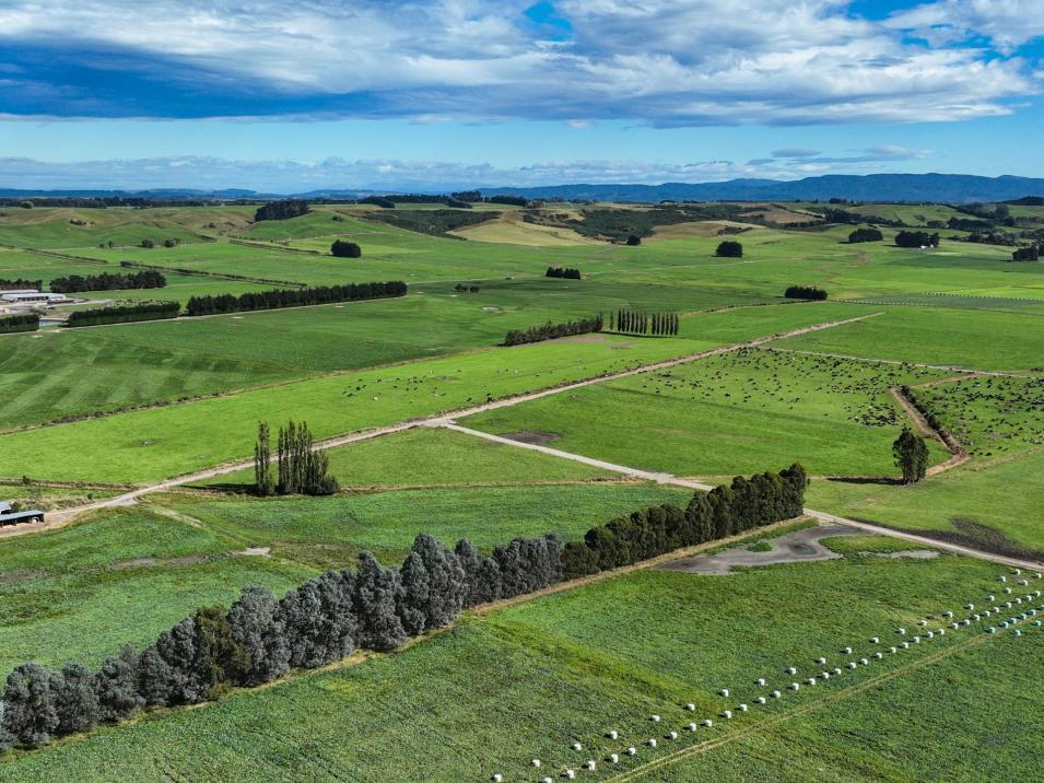 846 Pioneer Highway + 116 and 172 Ota Creek Road, Edendale
