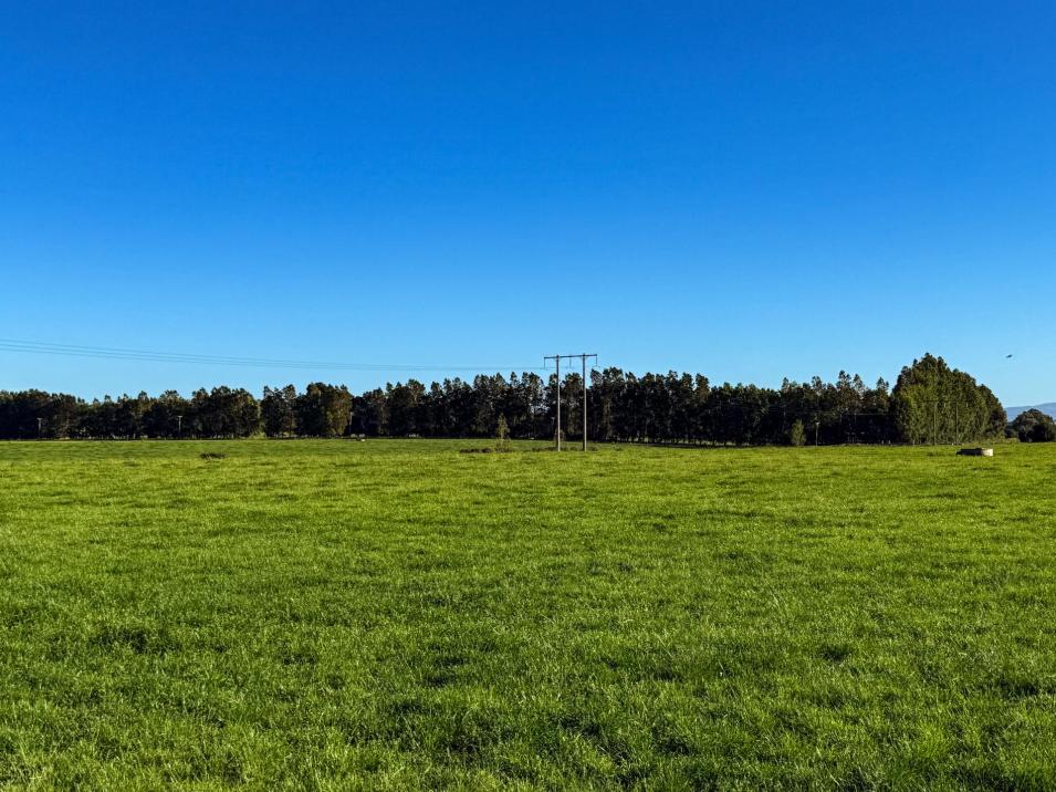 846 Pioneer Highway + 116 and 172 Ota Creek Road, Edendale