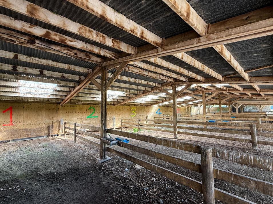 846 Pioneer Highway + 116 and 172 Ota Creek Road, Edendale