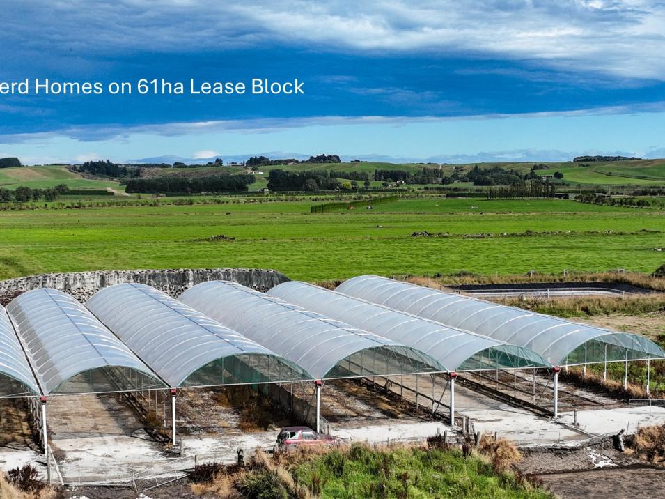 846 Pioneer Highway + 116 and 172 Ota Creek Road, Edendale