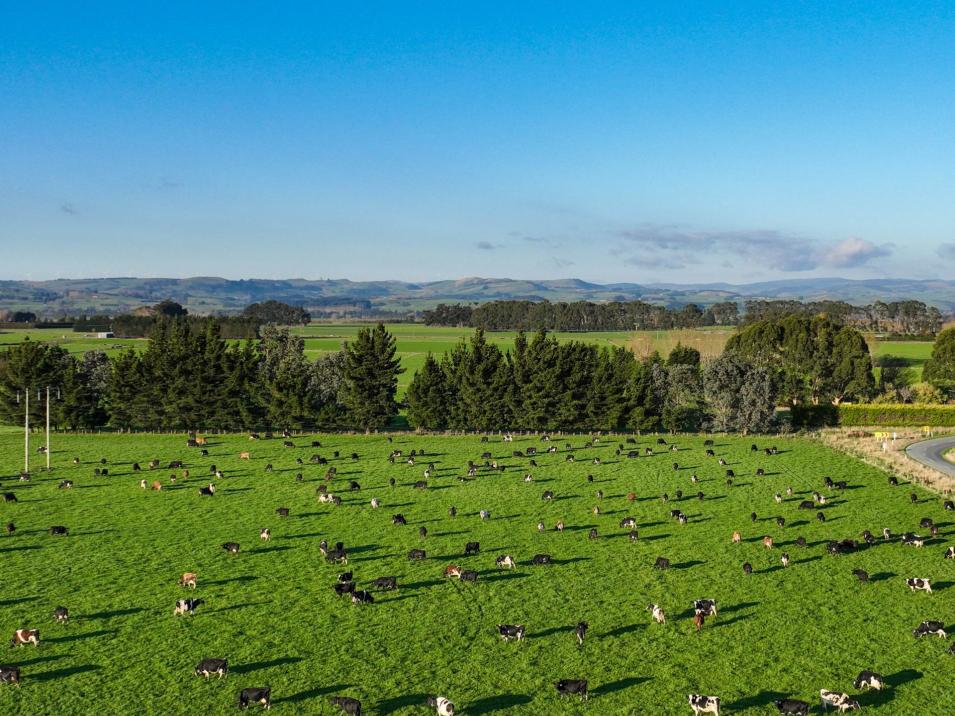 846 Pioneer Highway + 116 and 172 Ota Creek Road, Edendale