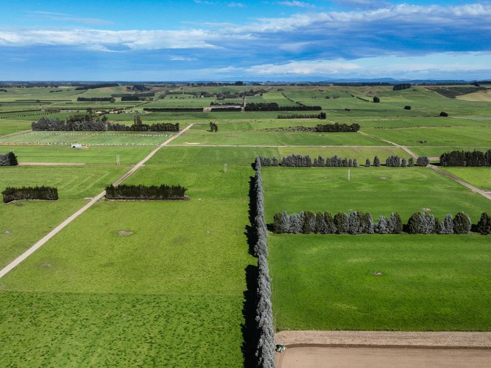 846 Pioneer Highway + 116 and 172 Ota Creek Road, Edendale
