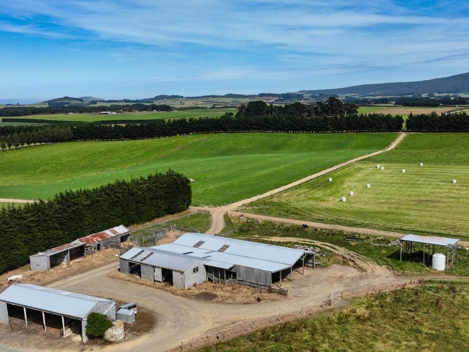 91 The Narrows Road, Waipango
