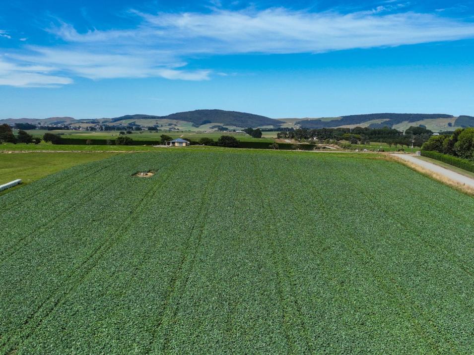 91 The Narrows Road, Waipango