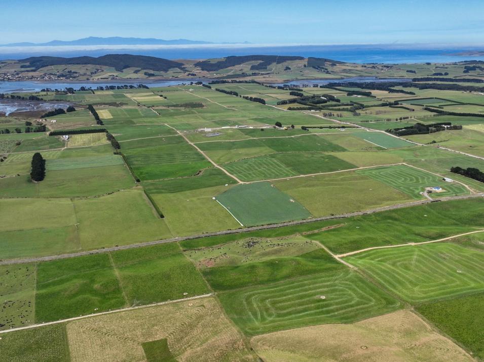 91 The Narrows Road, Waipango