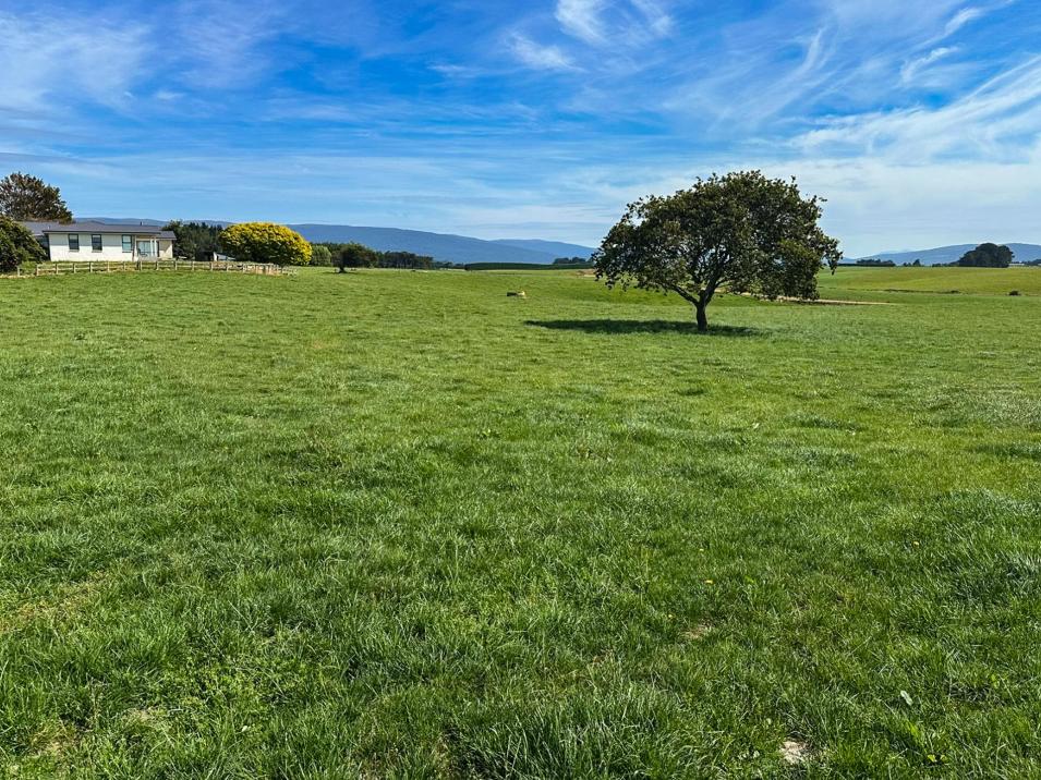 91 The Narrows Road, Waipango