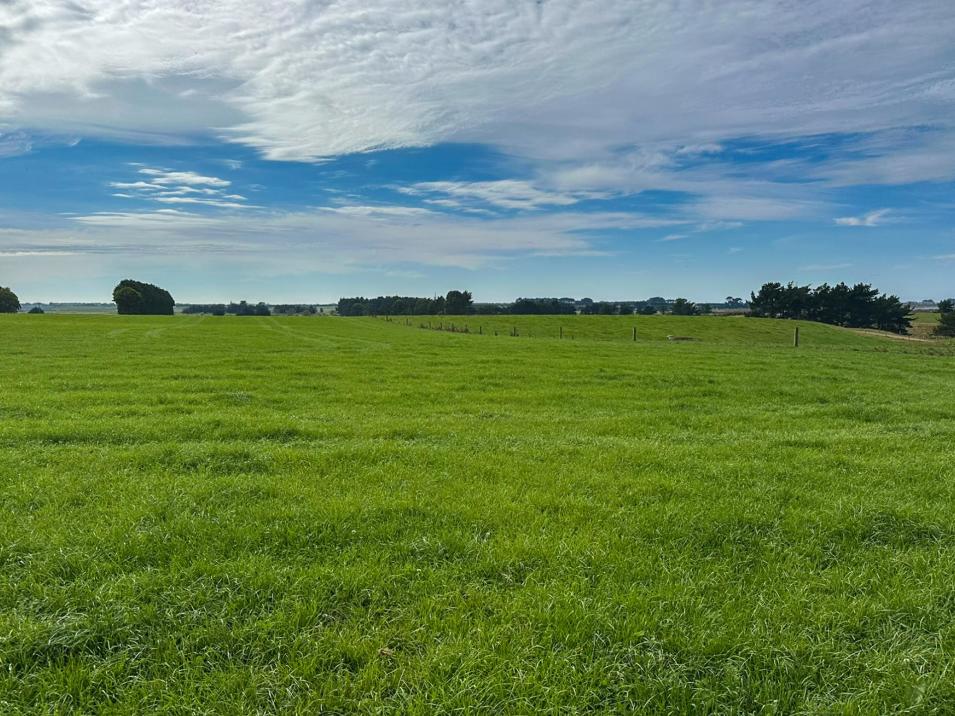 91 The Narrows Road, Waipango