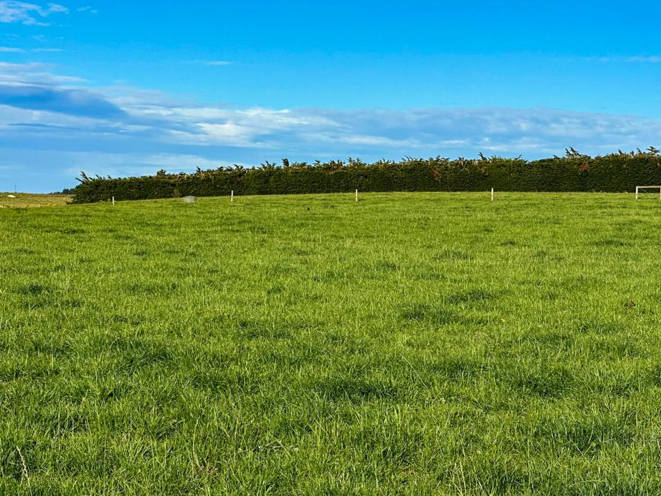 491 Waituna Gorge Road, Gorge Road