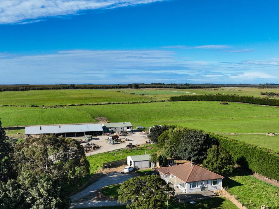 491 Waituna Gorge Road, Gorge Road