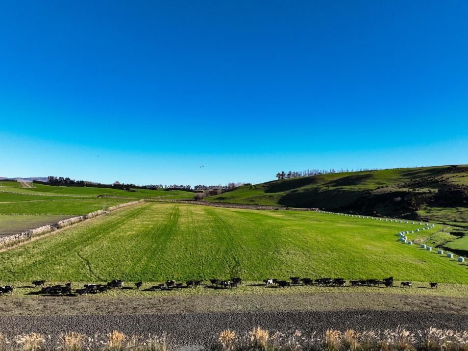 379 Waikaka Road, Maitland