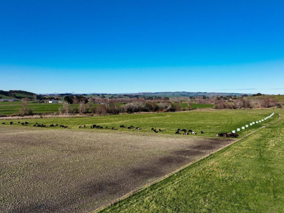 379 Waikaka Road, Maitland