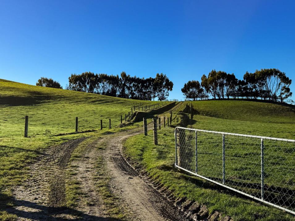 379 Waikaka Road, Maitland