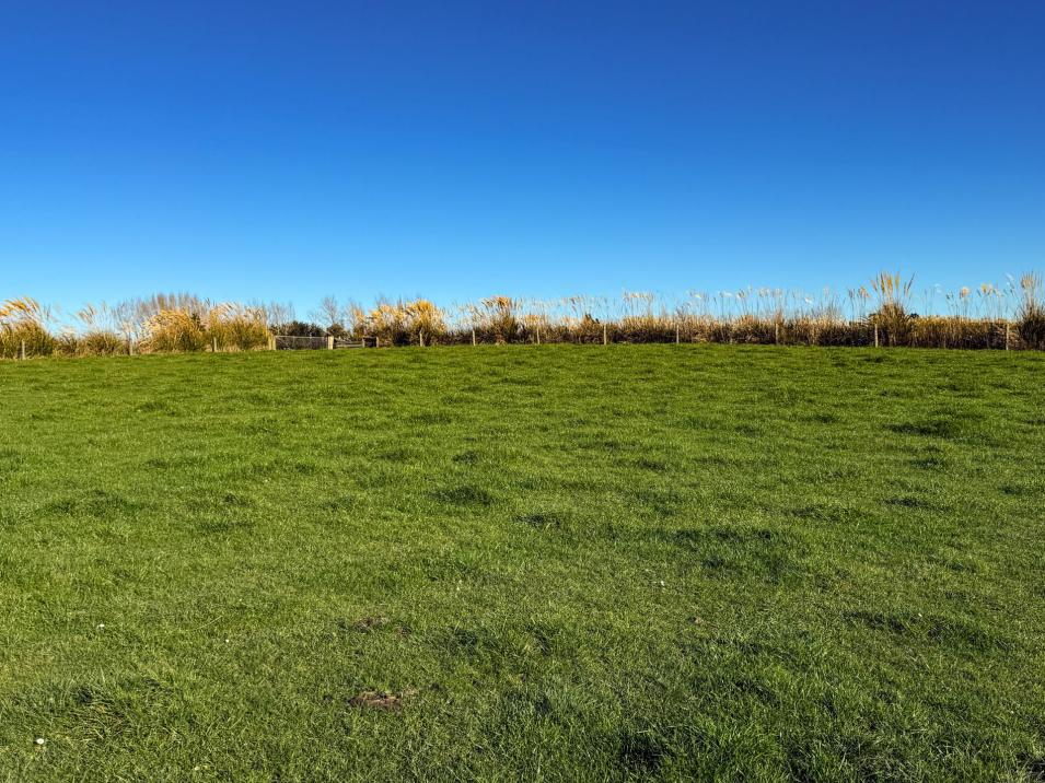 379 Waikaka Road, Maitland