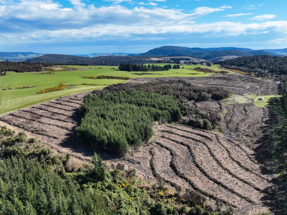 1250 Mokoreta Tahakopa Road, Tahakopa Valley