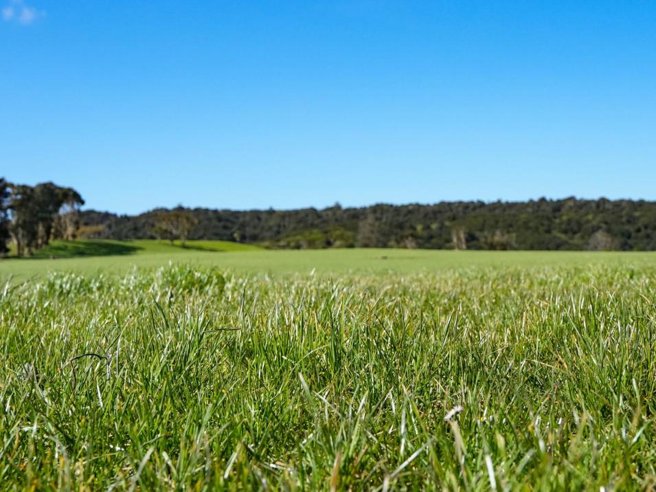 696 Jacks Hill Road, Waimahaka
