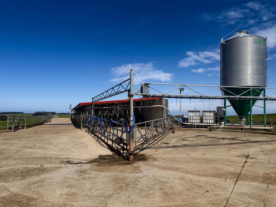 696 Jacks Hill Road, Waimahaka