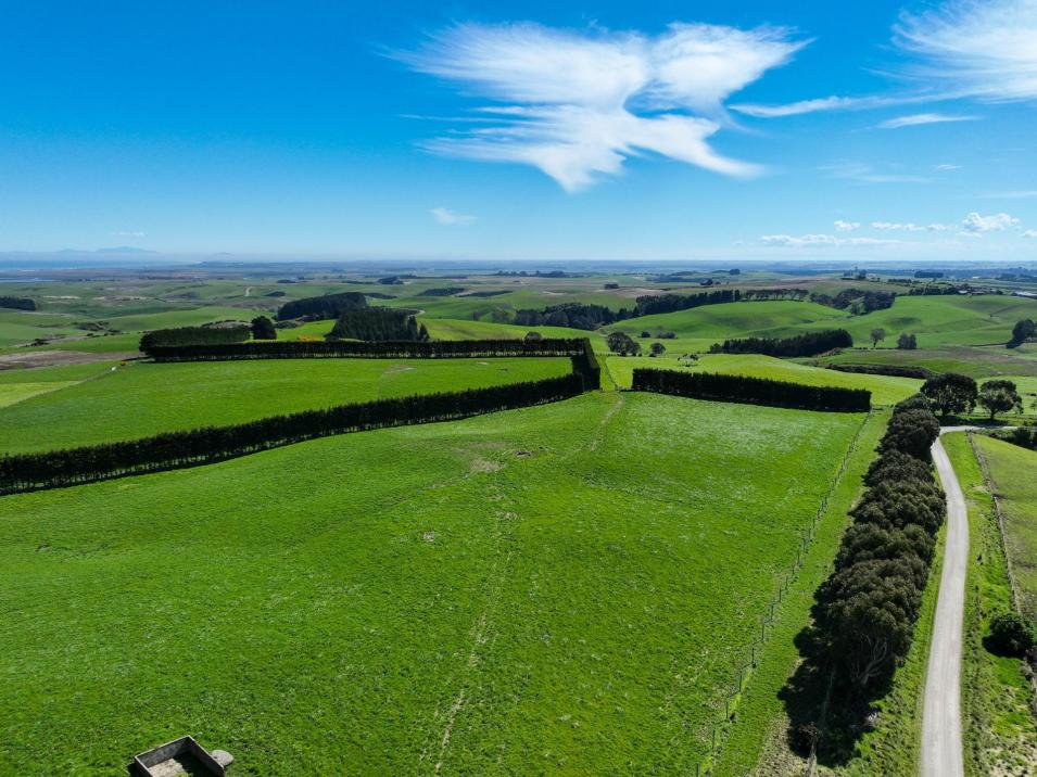 300 Jacks Hill Road, Waimahaka