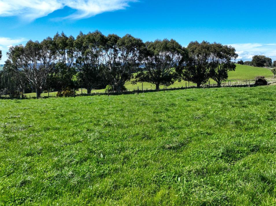 300 Jacks Hill Road, Waimahaka