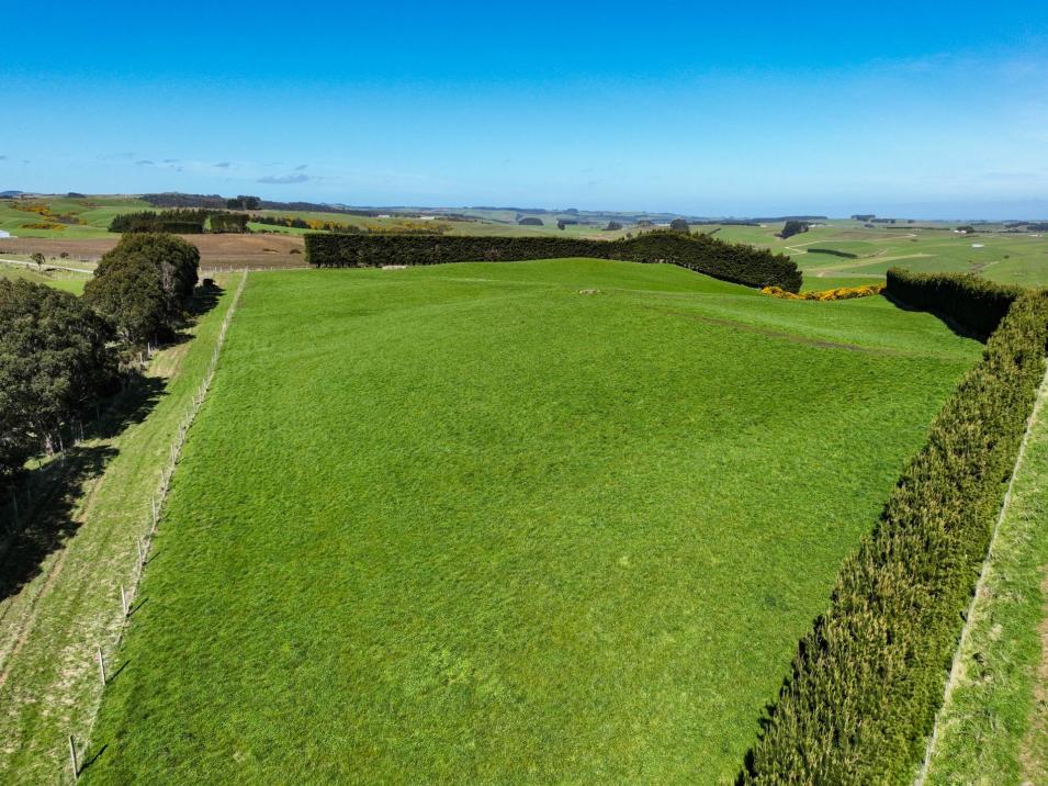 300 Jacks Hill Road, Waimahaka