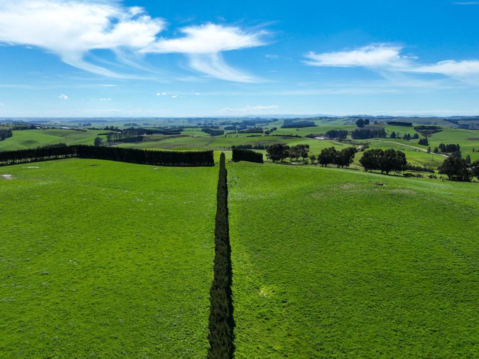 300 Jacks Hill Road, Waimahaka