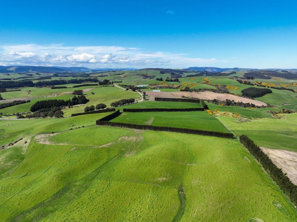 300 Jacks Hill Road, Waimahaka