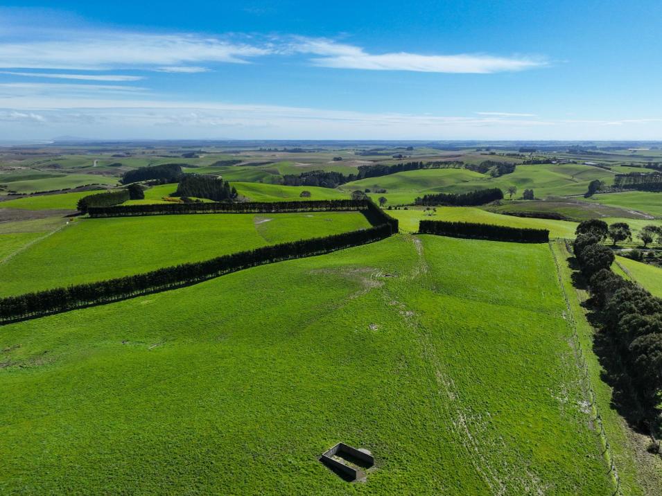 300 Jacks Hill Road, Waimahaka