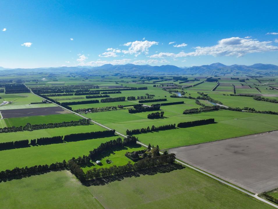 Riversdale-Ardlussa Road, Riversdale