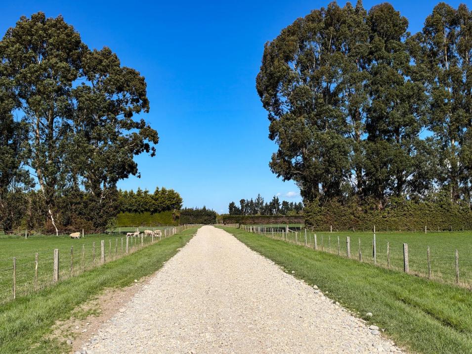 Riversdale-Ardlussa Road, Riversdale