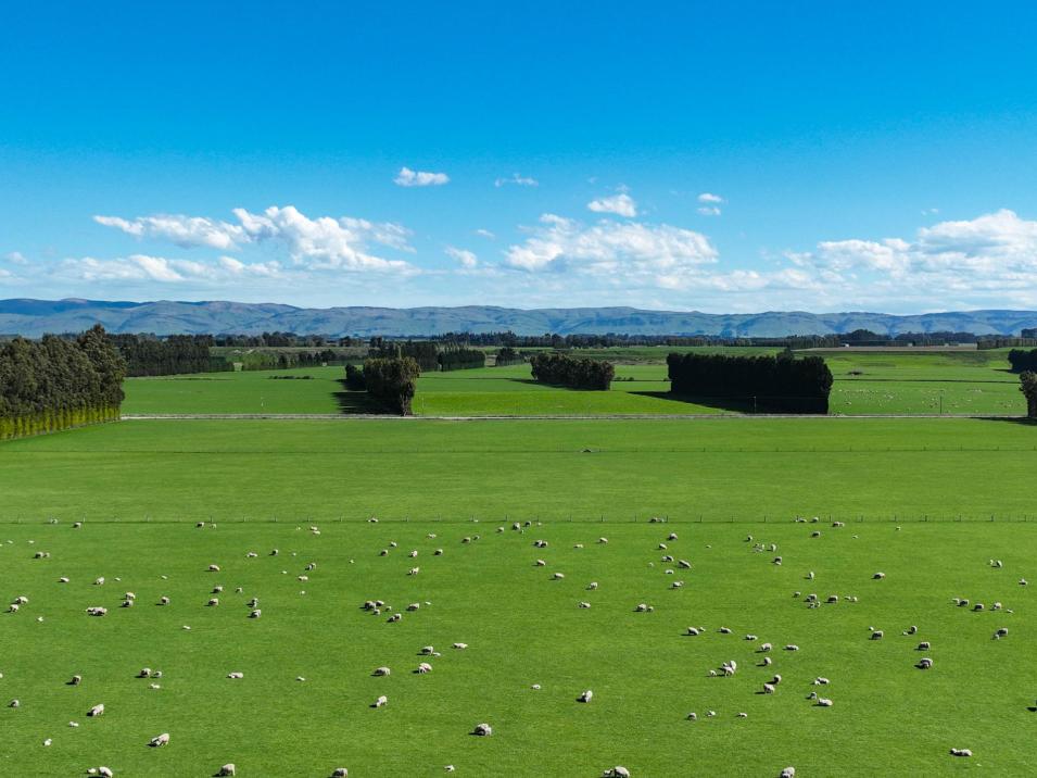 Riversdale-Ardlussa Road, Riversdale