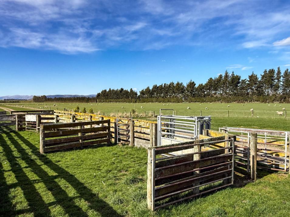 Riversdale-Ardlussa Road, Riversdale