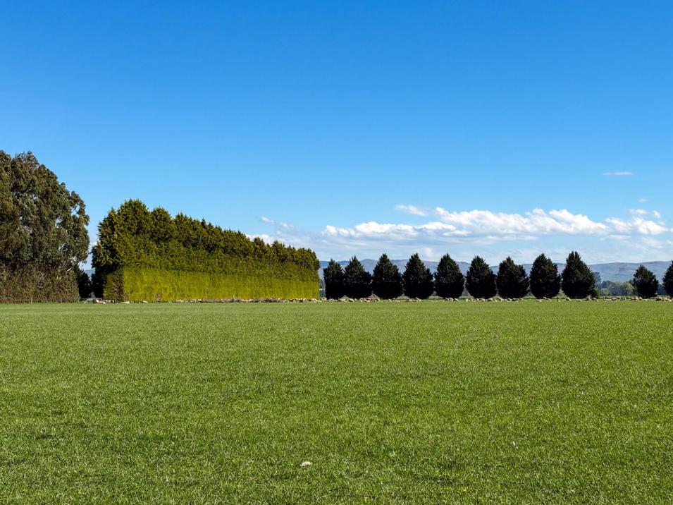 Riversdale-Ardlussa Road, Riversdale