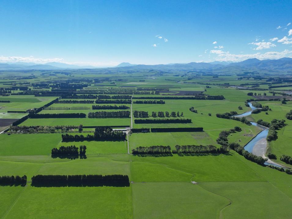 Riversdale-Ardlussa Road, Riversdale