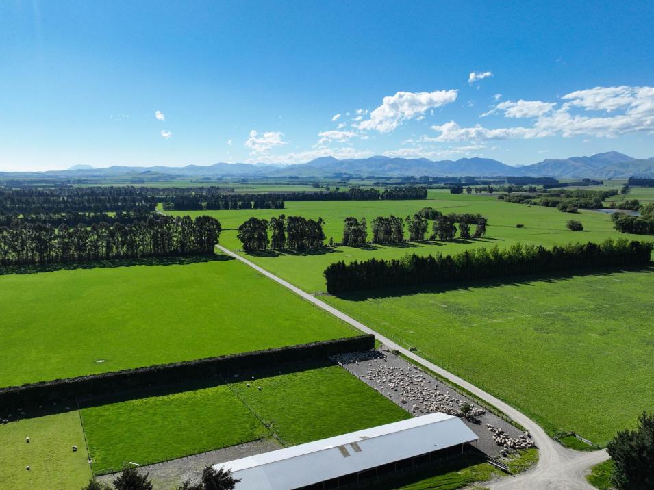 Riversdale-Ardlussa Road, Riversdale