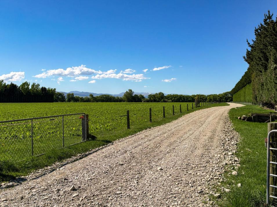 Riversdale-Ardlussa Road, Riversdale