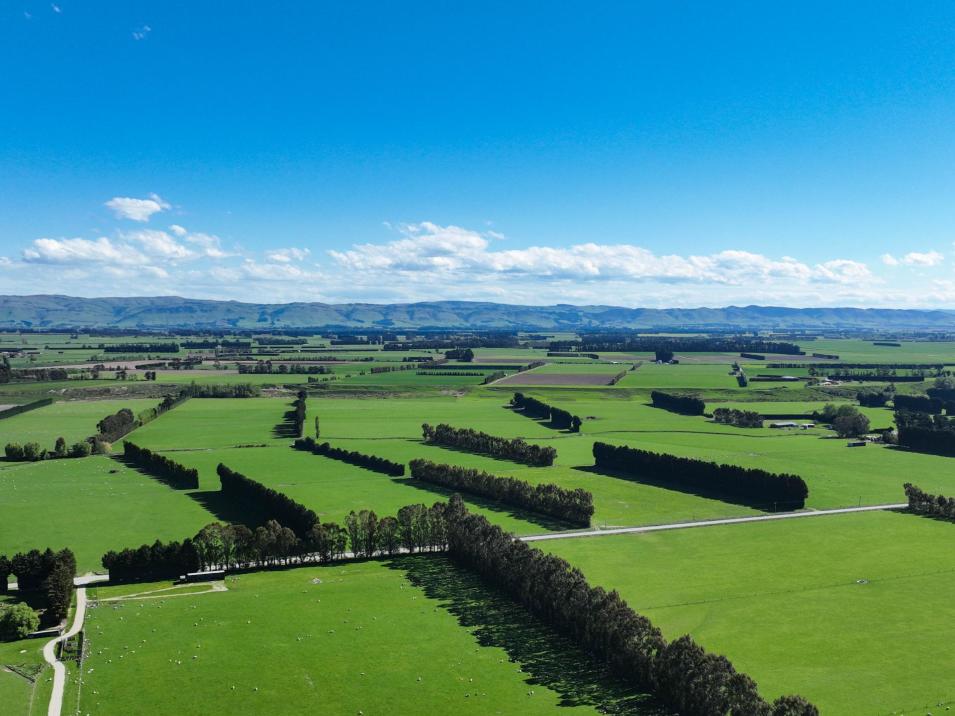 Riversdale-Ardlussa Road, Riversdale
