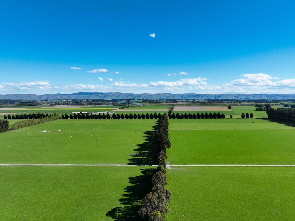 Riversdale-Ardlussa Road, Riversdale