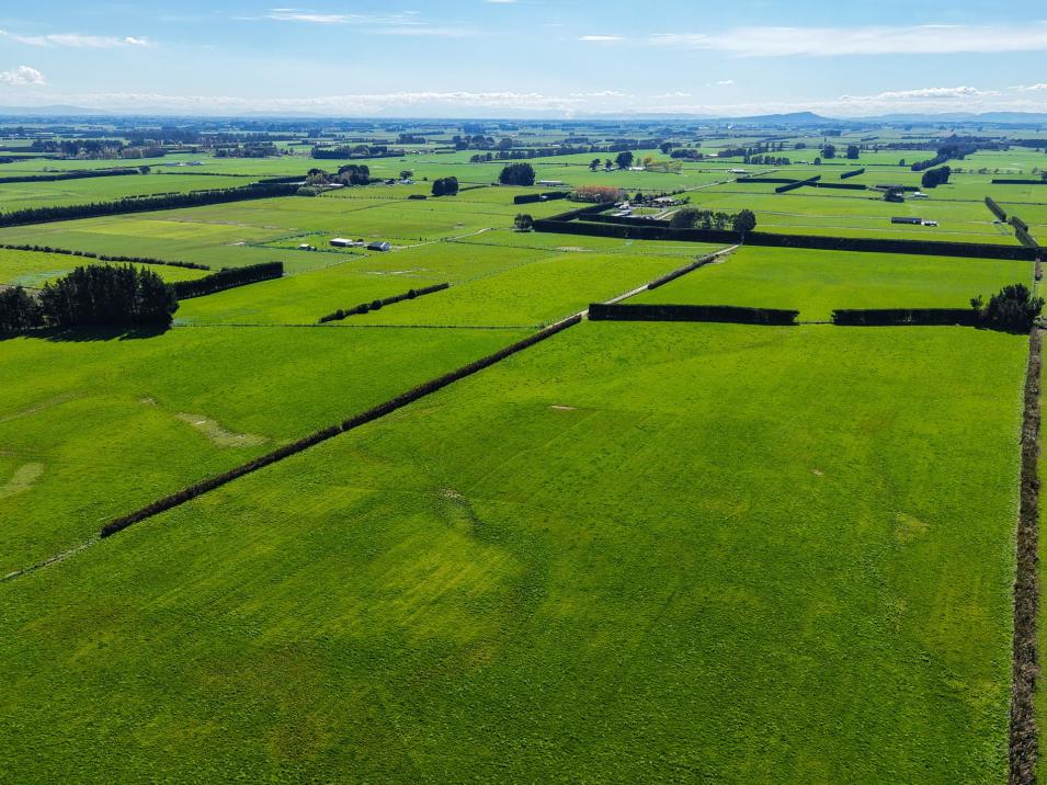 Dowling Road, Longbush