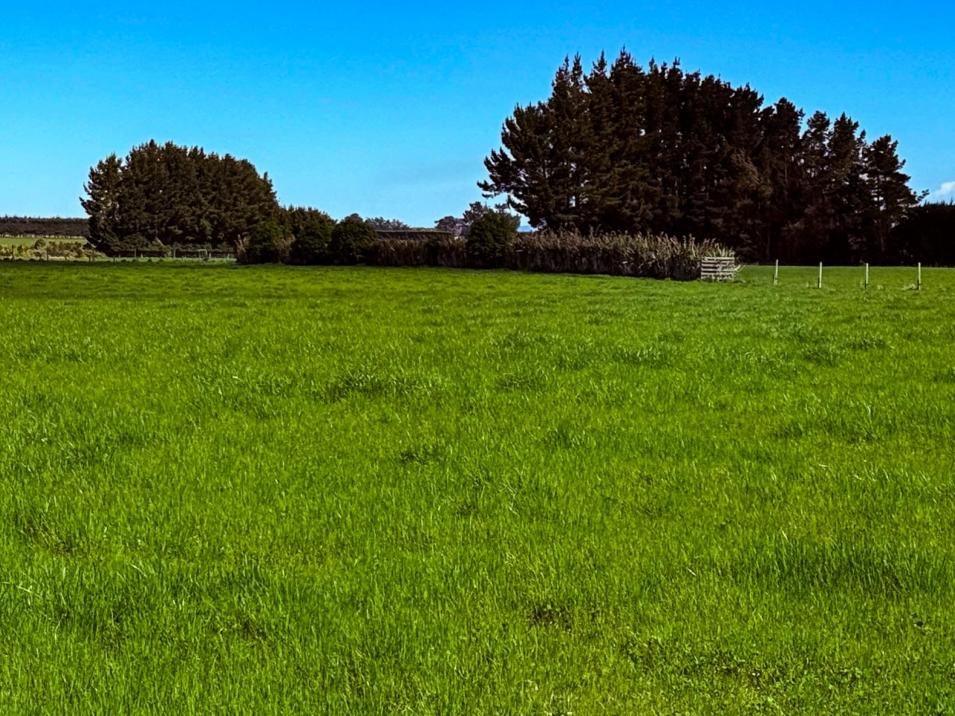 Dowling Road, Longbush