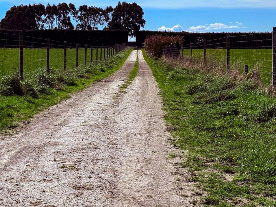 Dowling Road, Longbush