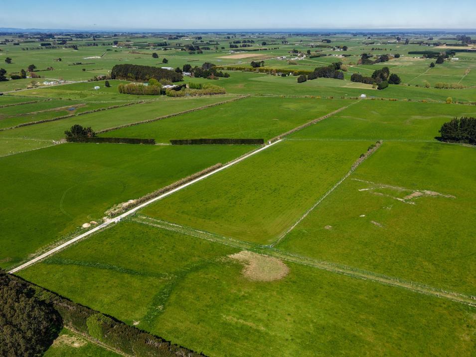 Dowling Road, Longbush