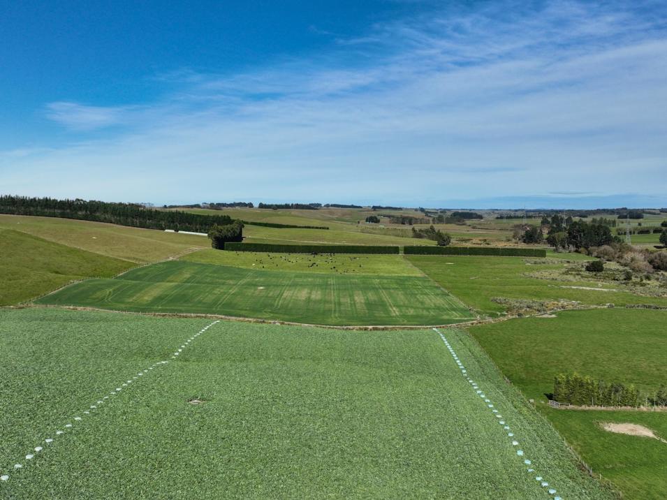 55 McGill Road, Te Tipua