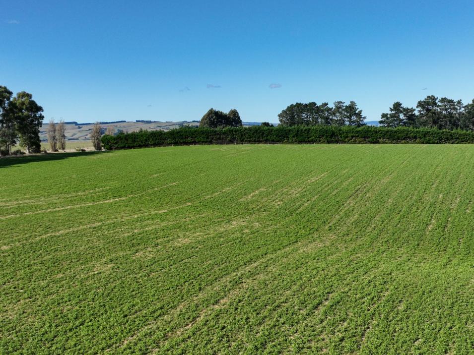 55 McGill Road, Te Tipua